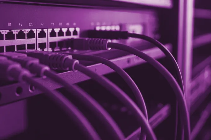 Patch cables plugged into a network switch in a dark rack, one port lit, in grape duotone.