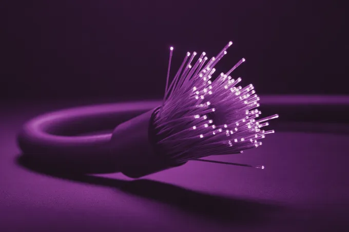 A bundle of fiber optic strands fanning out of a cable, their tips lit, in grape duotone.